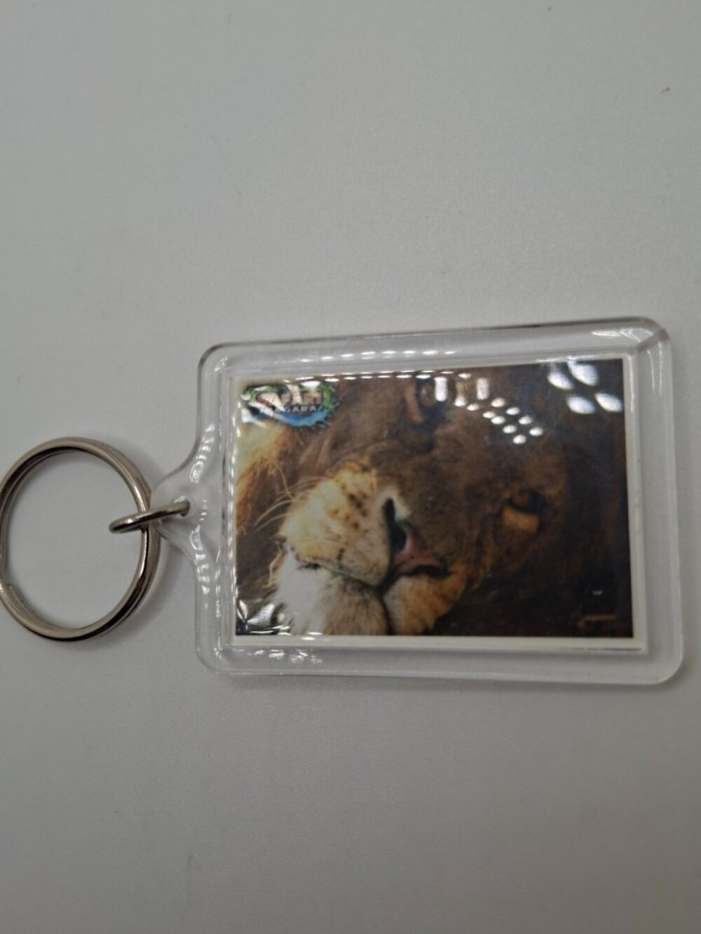 Safari Niagara Keychains — Lion + White Tiger Souvenir, Set of 2